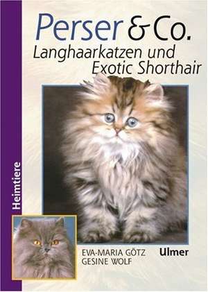 Perser und Co. Langhaarkatzen und Exotic Shorthair de Eva-Maria Götz