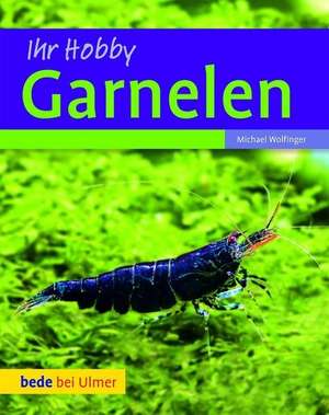 Ihr Hobby Garnelen de Michael Wolfinger