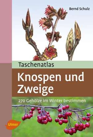 Taschenatlas Knospen und Zweige de Bernd Schulz