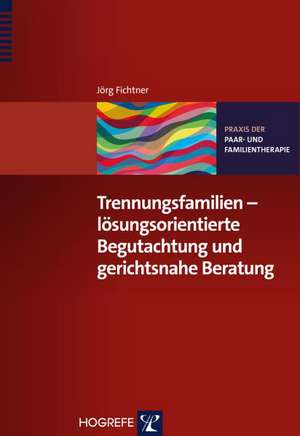 Trennungsfamilien - lösungsorientierte Begutachtung und gerichtsnahe Beratung de Jörg Fichtner