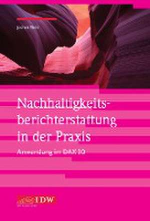 Nachhaltigkeitsberichterstattung in der Praxis - Anwendung im DAX 30 de Jochen Theis