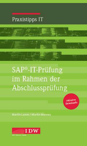 SAP®-IT-Prüfung im Rahmen der Abschlussprüfung de Martin Lamm