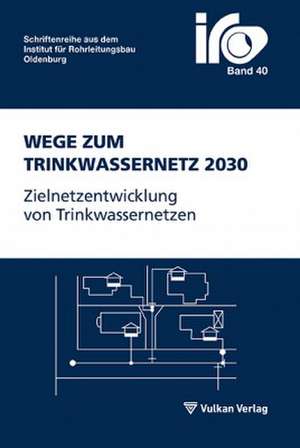 Wege zum Trinkwassernetz 2030 de Friedrike Rüffer