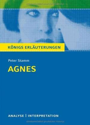 Agnes. Textanalyse und Interpretation zu Peter Stamm. Agnes de Peter Stamm