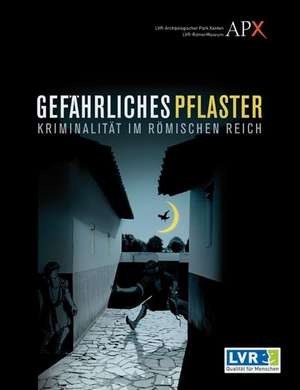 Gefährliches Pflaster de Marcus Reuter