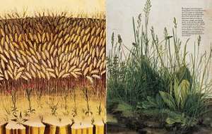 Geheimes Wissen de David Hockney