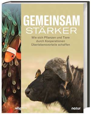 Gemeinsam stärker de Andrea Stegemann