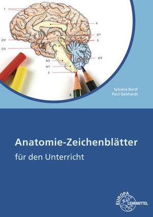 Anatomie Zeichenblätter de Paul Gebhardt