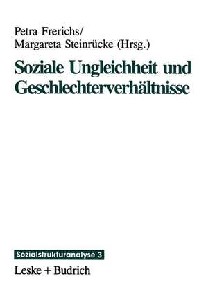 Soziale Ungleichheit und Geschlechterverhältnisse de Petra Frerichs