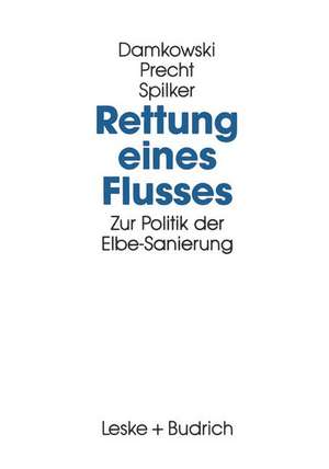 Rettung eines Flusses: Zur Politik der Elbe-Sanierung de Wulf Damkowski