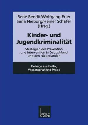 Kinder- und Jugendkriminalität: Strategien der Prävention und Intervention in Deutschland und den Niederlanden de Wolfgang Erler