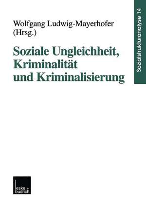 Soziale Ungleichheit, Kriminalität und Kriminalisierung de Wolfgang Ludwig-Mayerhofer