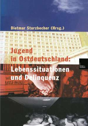 Jugend in Ostdeutschland: Lebenssituationen und Delinquenz de Dietmar Sturzbecher