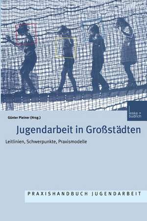 Jugendarbeit in Großstädten: Leitlinien Schwerpunkte Praxismodelle de Günter Pleiner