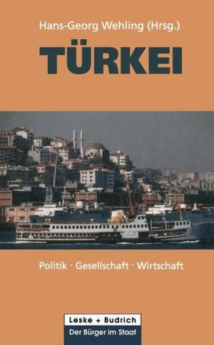 Türkei: Politik — Gesellschaft — Wirtschaft de Hans-Georg Wehling