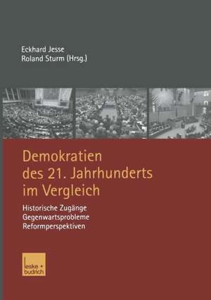 Demokratien des 21. Jahrhunderts im Vergleich: Historische Zugänge, Gegenwartsprobleme, Reformperspektiven de Eckhard Jesse