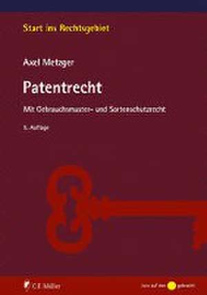 Patentrecht de Axel Metzger