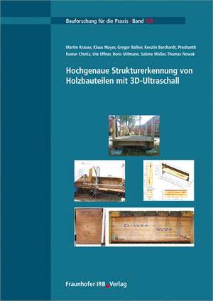 Hochgenaue Strukturerkennung von Holzbauteilen mit 3D-Ultraschall de Martin Krause