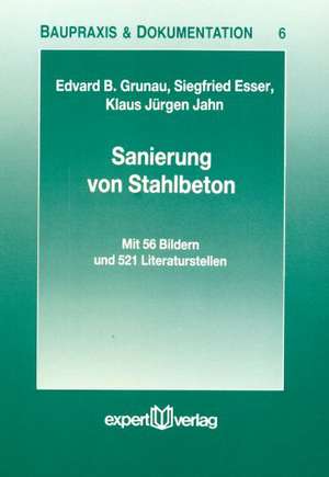 Sanierung von Stahlbeton de Edvard B. Grunau