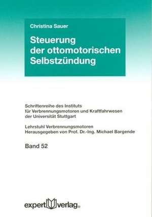 Steuerung der ottomotorischen Selbstzündung de Christina Sauer