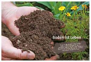 Naturgarten ganz einfach de Heike Boomgaarden