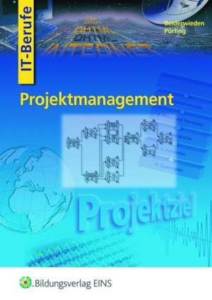 Projektmanagement für IT-Projekte de Arndt Beiderwieden