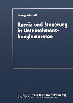 Anreiz und Steuerung in Unternehmenskonglomeraten de Georg Schmidt