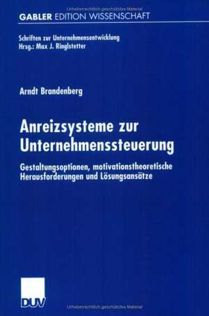 Anreizsysteme zur Unternehmenssteuerung: Gestaltungsoptionen, motivationstheoretische Herausforderungen und Lösungsansätze de Arndt Brandenberg