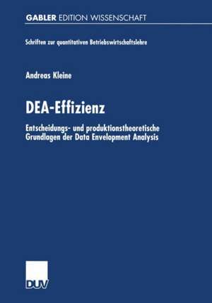 DEA-Effizienz: Entscheidungs- und produktionstheoretische Grundlagen der Data Envelopment Analysis de Andreas Kleine