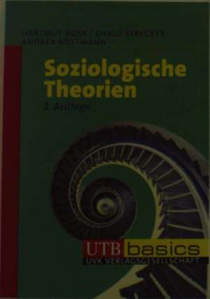 Soziologische Theorien de Hartmut Rosa