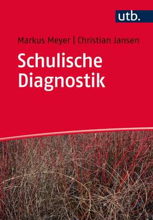 Schulische Diagnostik de Markus Richard Meyer