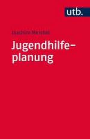 Jugendhilfeplanung de Joachim Merchel