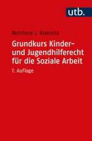 Grundkurs Kinder- und Jugendhilferecht für die Soziale Arbeit de Reinhard J. Wabnitz