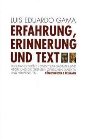 Erfahrung, Erinnerung und Text de Luis E. Gama