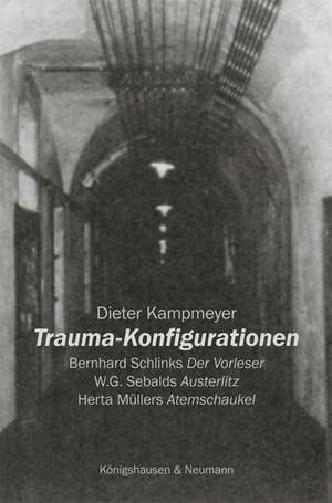 Trauma-Konfigurationen de Dieter Kampmeyer