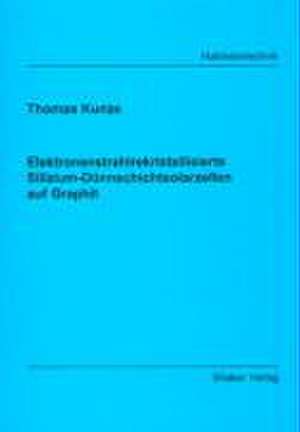 Elektronenstrahlrekristallisierte Silizium-Dünnschichtsolarzellen auf Graphit de Thomas Kunze