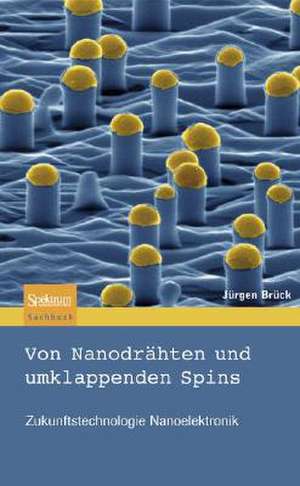 Von Nanodrahten Und Umklappenden Spins