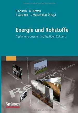 Energie und Rohstoffe: Gestaltung unserer nachhaltigen Zukunft de Peter Kausch