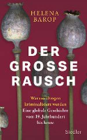 Der große Rausch de Helena Barop