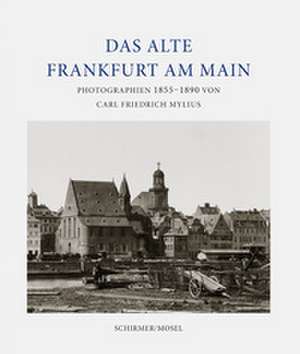 Das alte Frankfurt de Eberhard Mayer-Wegelin