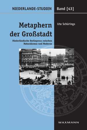 Metaphern der Großstadt de Ute Schürings