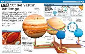 Richtig oder falsch? de Andrea Mills