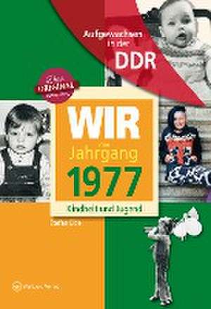 Aufgewachsen in der DDR - Wir vom Jahrgang 1977-Kindheit und Jugend de Stefan Elbe