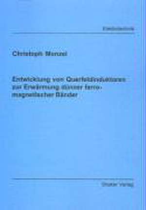 Entwicklung von Querfeldinduktoren zur Erwärmung dünner ferromagnetischer Bänder de Christoph Monzel