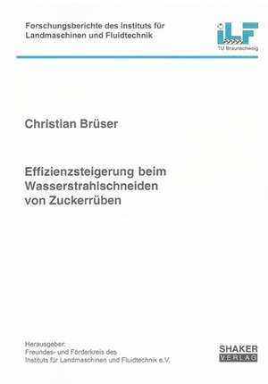 Effizienzsteigerung beim Wasserstrahlschneiden von Zuckerrüben de Christian Brüser