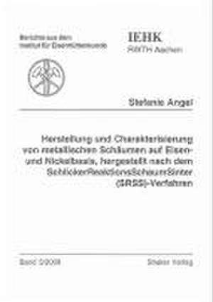 Herstellung und Charakterisierung von metallischen Schäumen auf Eisen- und Nickelbasis, hergestellt nach dem SchlickerReaktionsSchaumSinter (SRSS)-Verfahren de Stefanie Angel