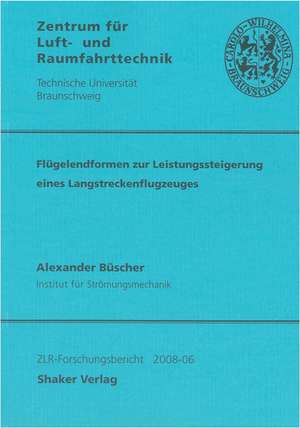 Flügelendformen zur Leistungssteigerung eines Langstreckenflugzeuges de Alexander Büscher