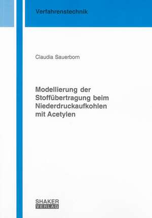 Modellierung der Stoffübertragung beim Niederdruckaufkohlen mit Acetylen de Claudia Sauerborn