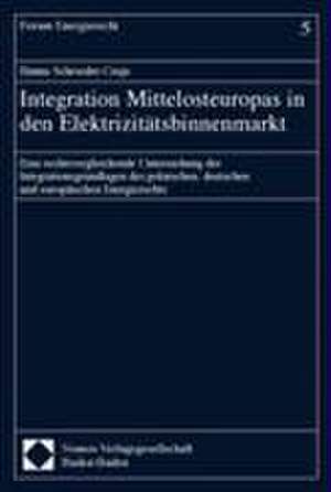 Integration Mittelosteuropas in den Elektrizitätsbinnenmarkt