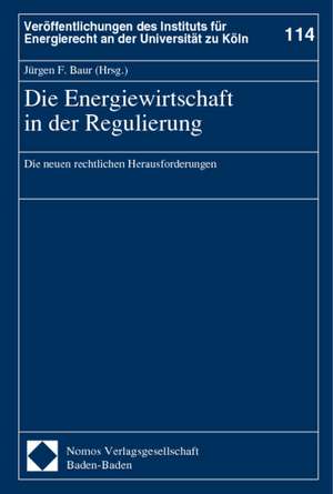 Die Energiewirtschaft in Der Regulierung: Die Neuen Rechtlichen Herausforderungen de Jürgen F. Baur